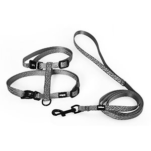 ARNES+CORREA GATO ANIMAL PRINT T-XXS GRIS